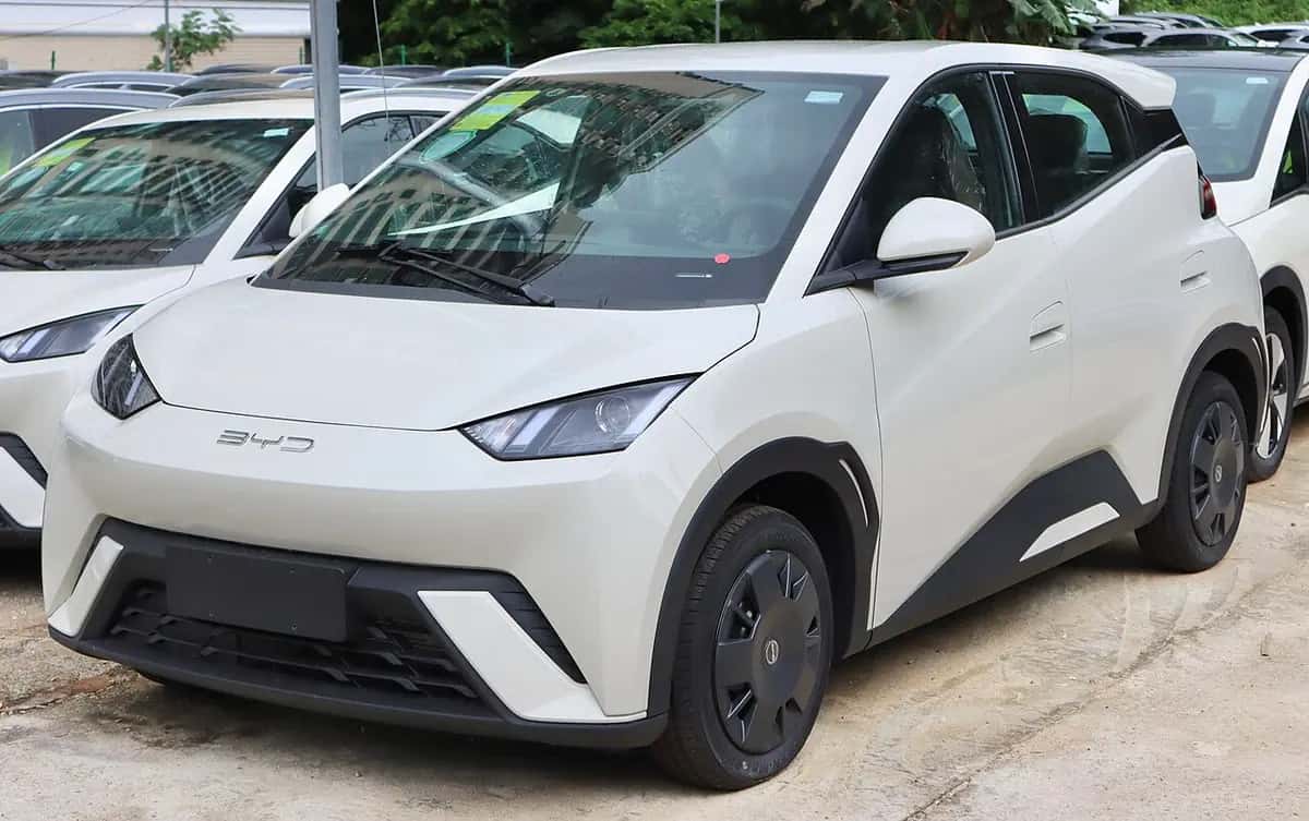 BYD דולפין סרף - צילום: User 3204